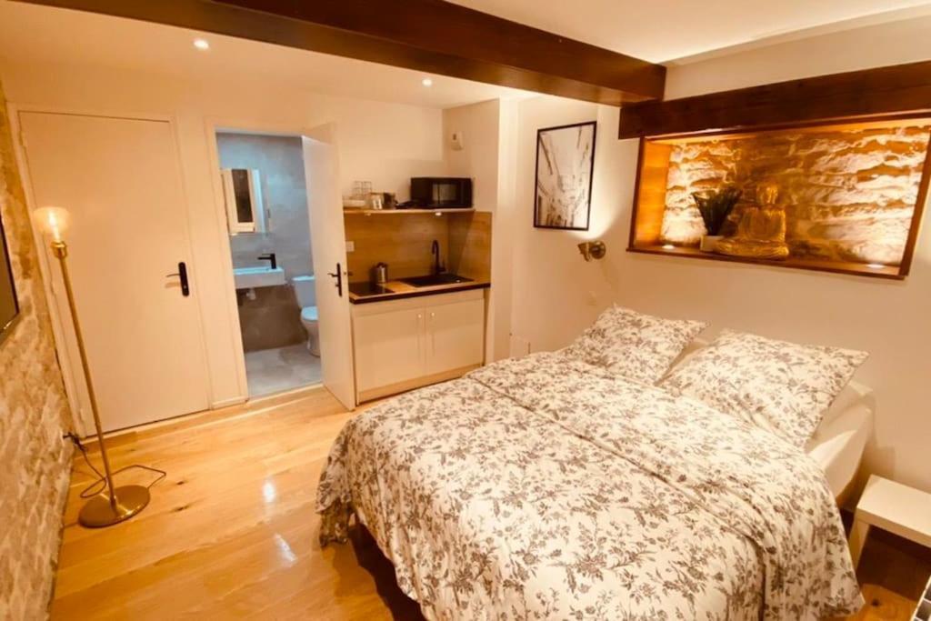 Studio Renove Avec Patio, Coeur Du Centre Ville Безансон Экстерьер фото