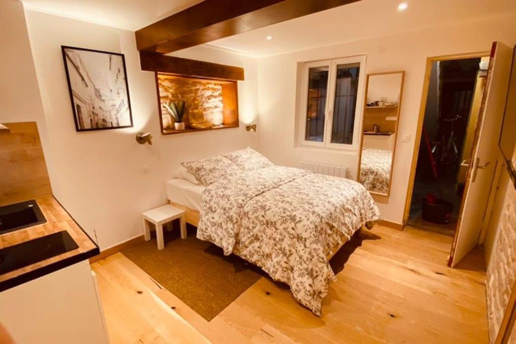 Studio Renove Avec Patio, Coeur Du Centre Ville Безансон Экстерьер фото